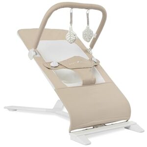 baby delight bouncer