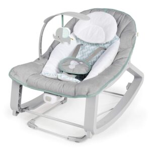 baby delight bouncer